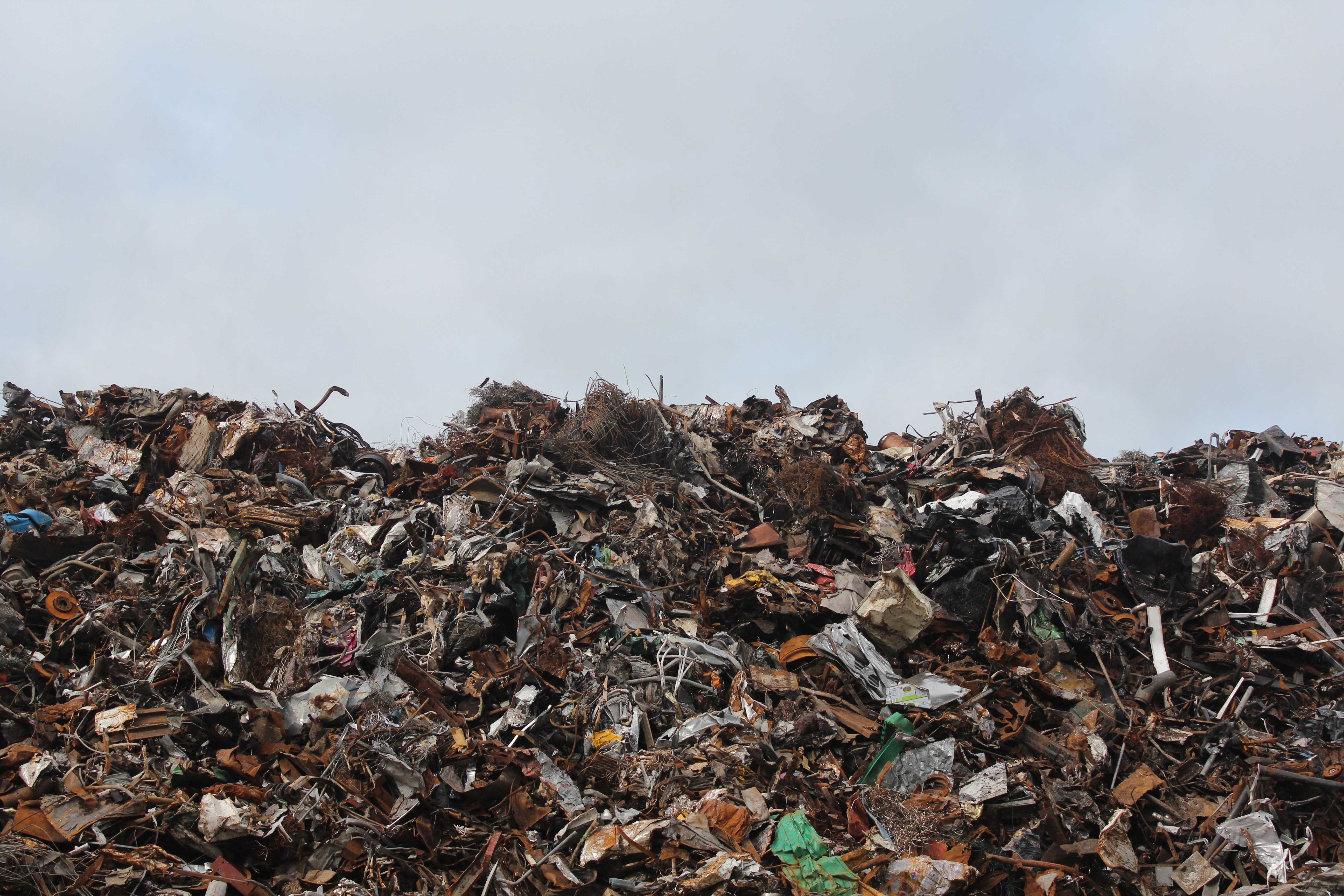 How Businesses Can Prepare for the Christmas Season Waste Increase